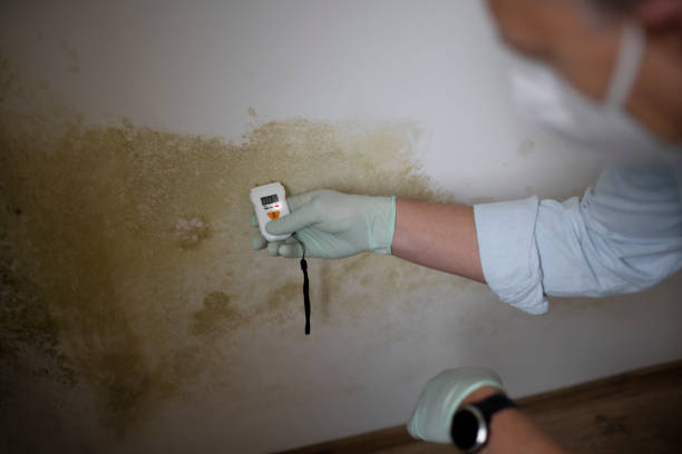 Best Mold Testing  in Andrews, IN