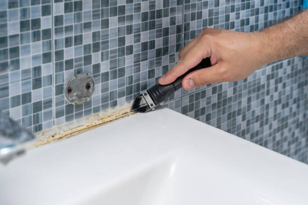 Best Professional Mold Removal  in Andrews, IN